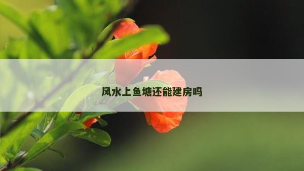 风水上鱼塘还能建房吗