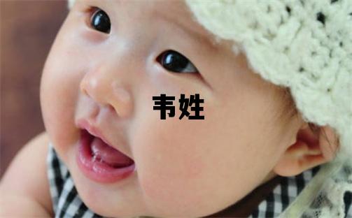 韦姓独特优美的男孩名字