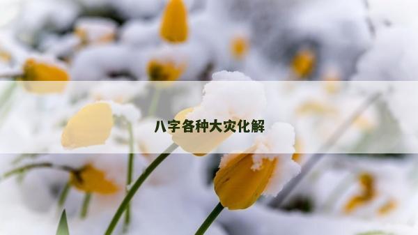 八字各种大灾化解