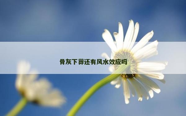 骨灰下葬还有风水效应吗