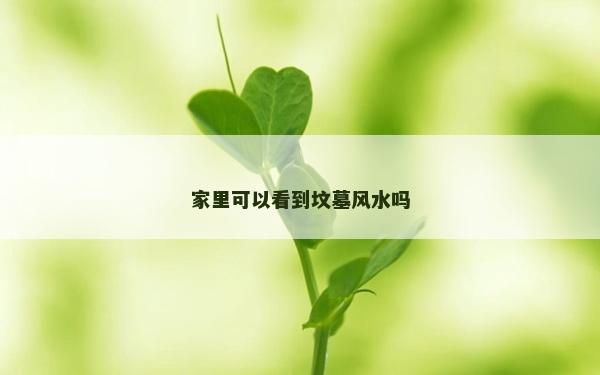 家里可以看到坟墓风水吗