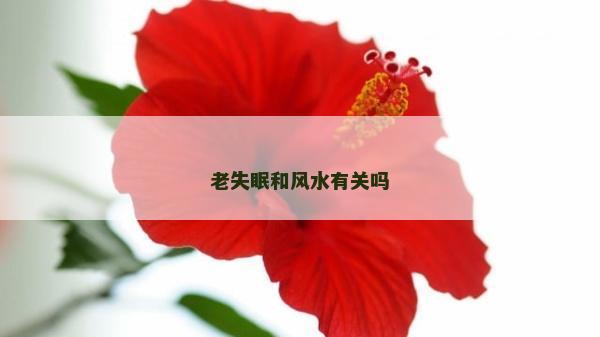 老失眠和风水有关吗