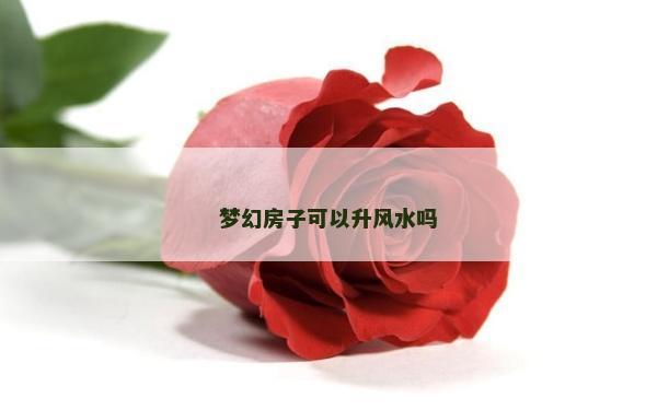 梦幻房子可以升风水吗