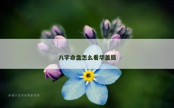八字命盘怎么看华盖局