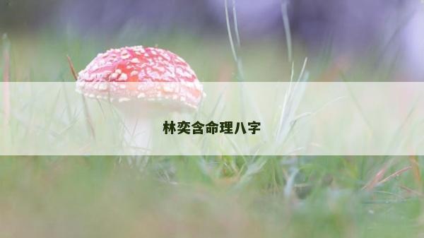 林奕含命理八字