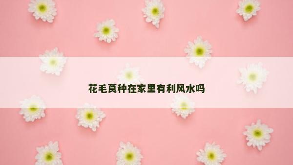花毛莨种在家里有利风水吗