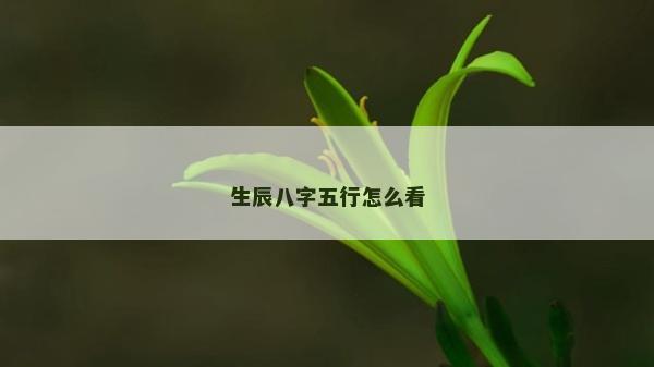 生辰八字五行怎么看
