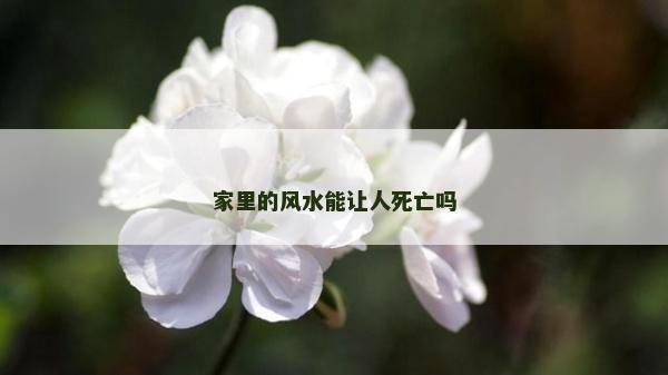 家里的风水能让人死亡吗
