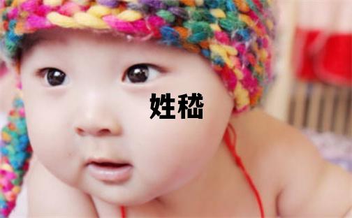 姓嵇叫什么名字好 姓嵇的男孩朗朗上口的名字