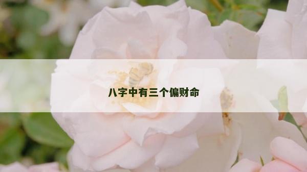 八字中有三个偏财命