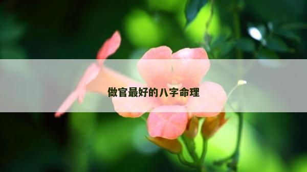 做官最好的八字命理