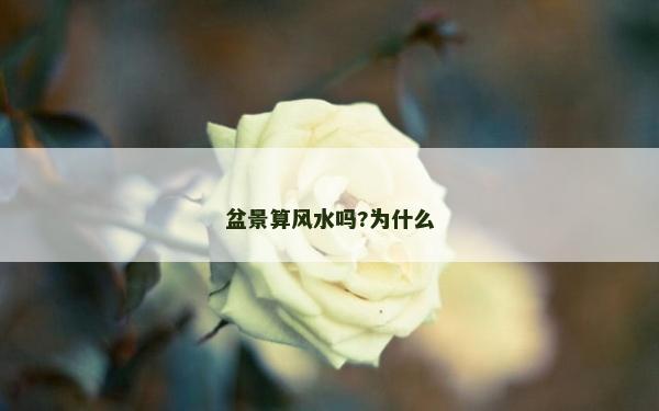 盆景算风水吗?为什么