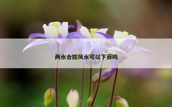 两水合襟风水可以下葬吗