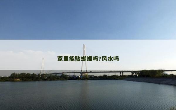 家里能贴蝴蝶吗?风水吗