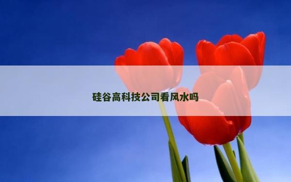 硅谷高科技公司看风水吗