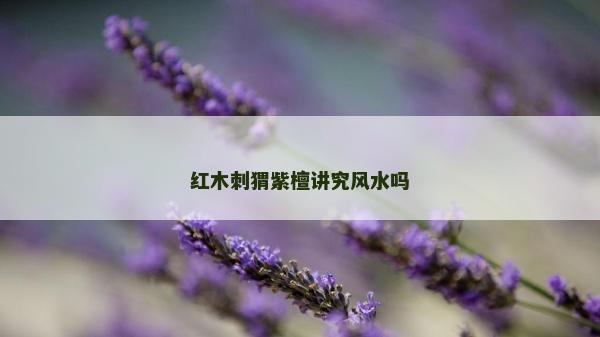 红木刺猬紫檀讲究风水吗