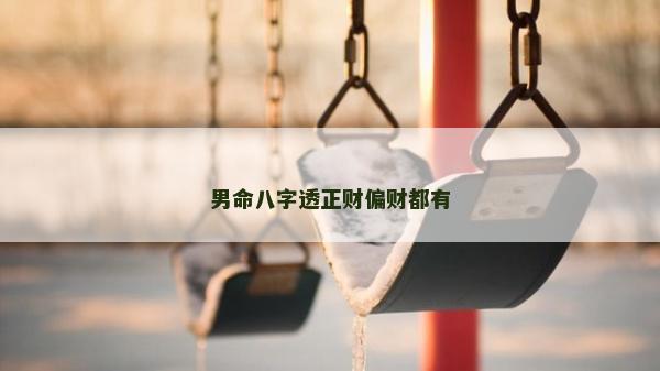 男命八字透正财偏财都有