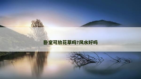 卧室可放花草吗?风水好吗