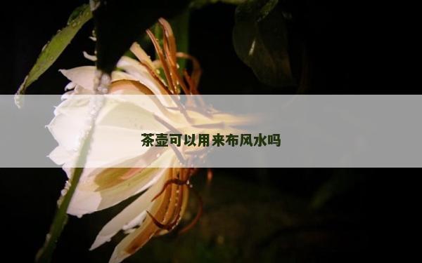 茶壶可以用来布风水吗