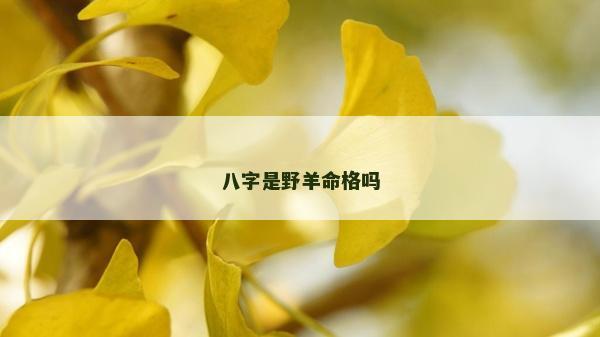八字是野羊命格吗
