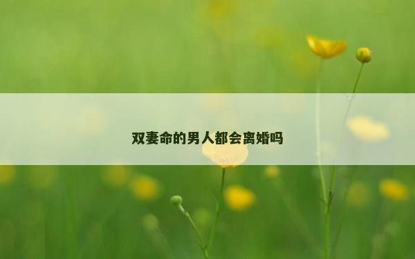 双妻命的男人都会离婚吗
