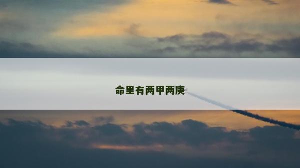 命里有两甲两庚