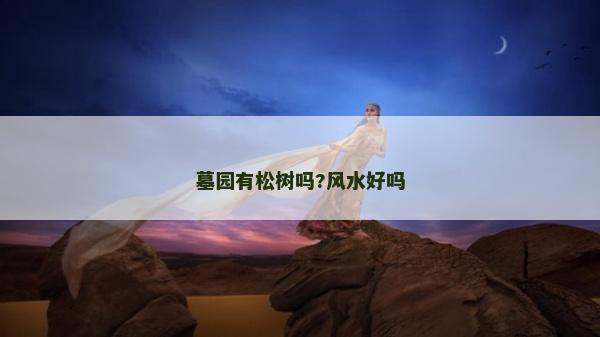墓园有松树吗?风水好吗