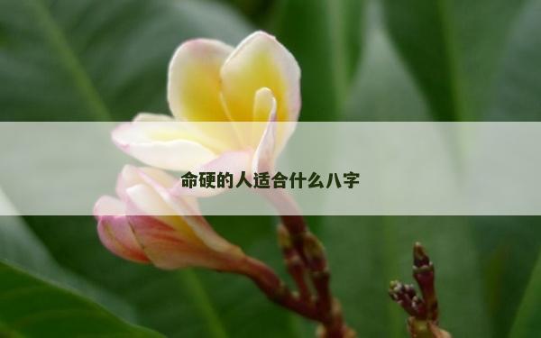 命硬的人适合什么八字