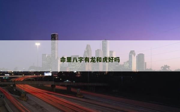 命里八字有龙和虎好吗