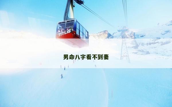 男命八字看不到妻
