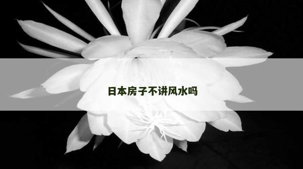日本房子不讲风水吗