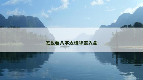 怎么看八字太极华盖入命