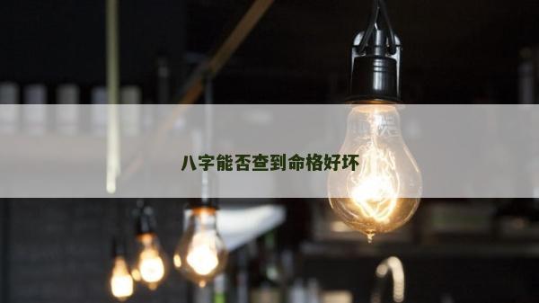 八字能否查到命格好坏