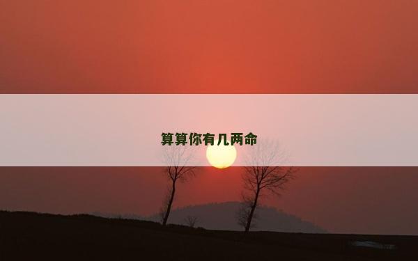 算算你有几两命