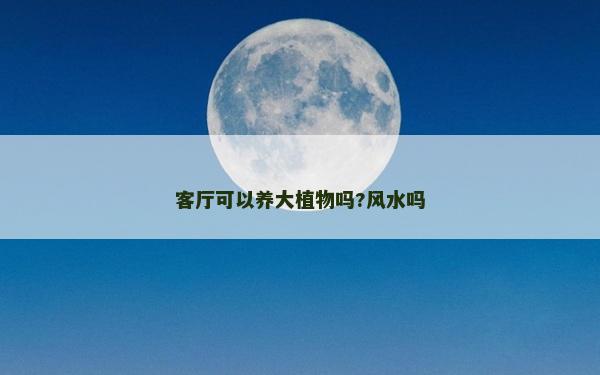 客厅可以养大植物吗?风水吗