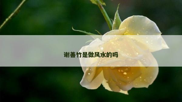谢善竹是做风水的吗