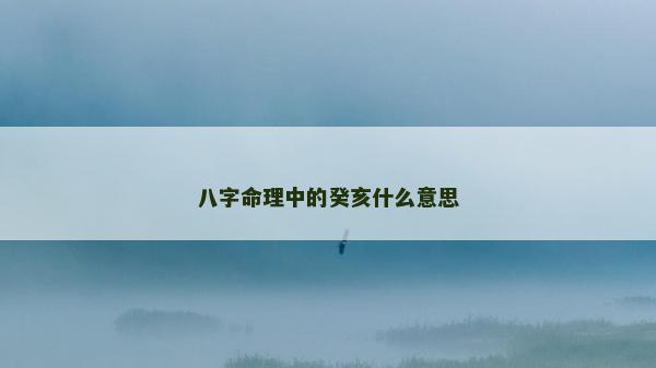 八字命理中的癸亥什么意思