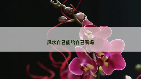 风水自己能给自己看吗