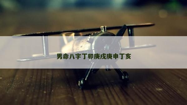 男命八字丁卯庚戌庚申丁亥