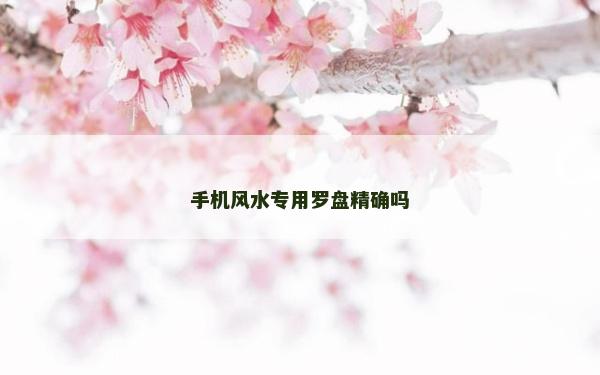 手机风水专用罗盘精确吗