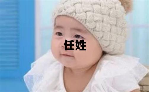 任姓有涵养的男孩名字,取什么名字好