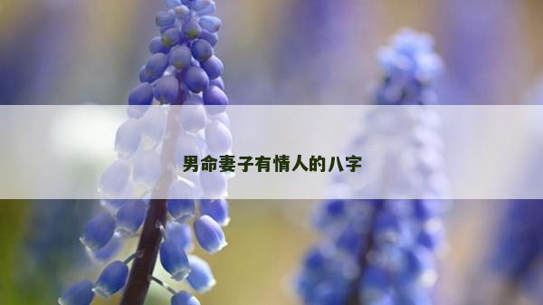 男命妻子有情人的八字
