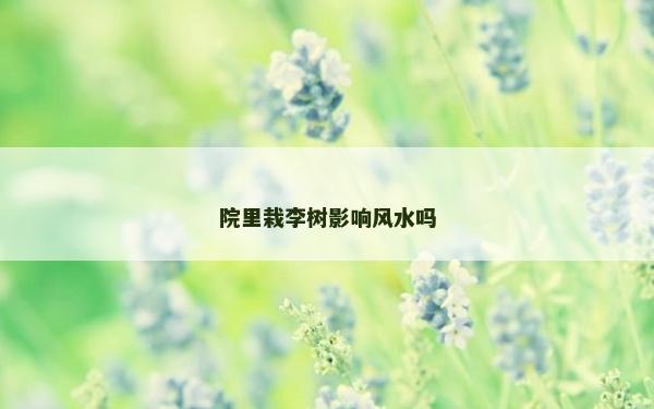 院里栽李树影响风水吗
