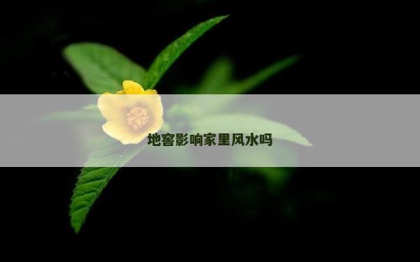 地窖影响家里风水吗