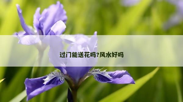 过门能送花吗?风水好吗
