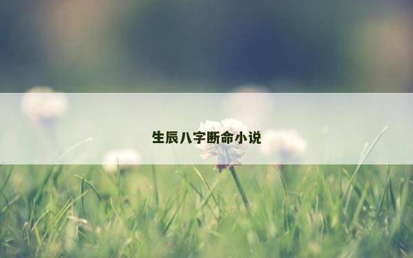 生辰八字断命小说