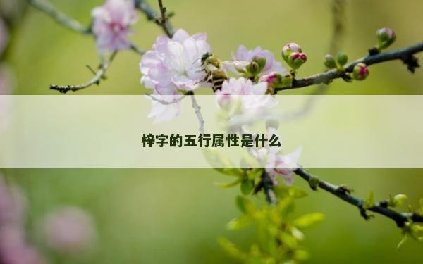 梓字的五行属性是什么