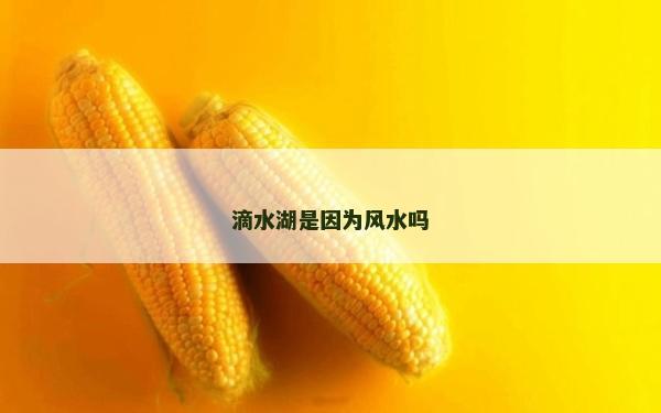 滴水湖是因为风水吗