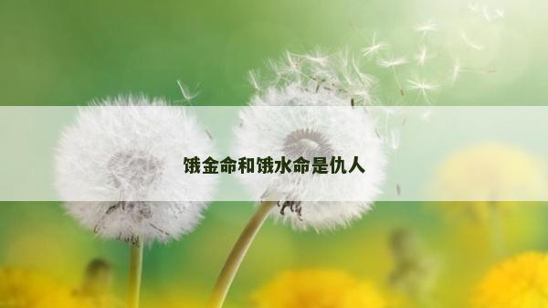 饿金命和饿水命是仇人