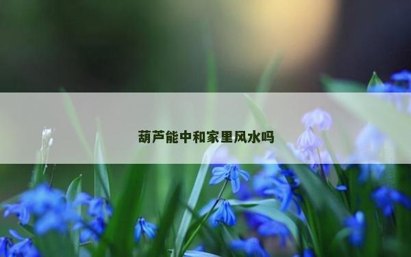 葫芦能中和家里风水吗